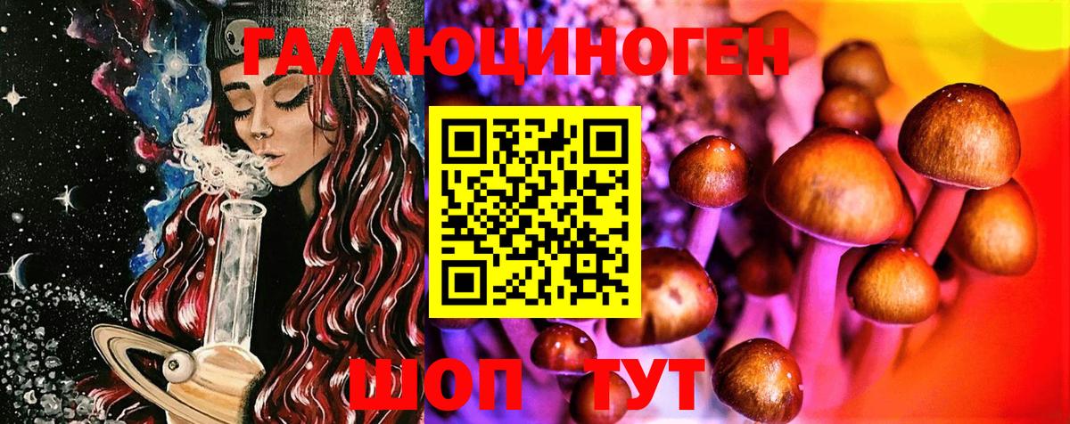 Новокубанск  Галлюциногенные грибы MAGIC MUSHROOMS  Вход с VPN 